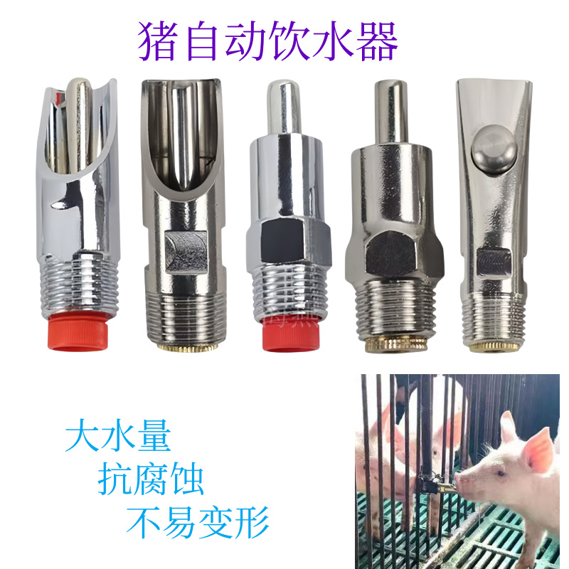 Chicken Nipple Drinker - 10pcs High Quality Stainless Steel Automatic