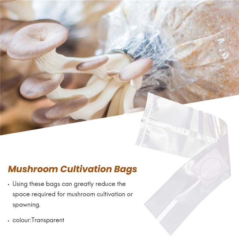 100Pcs Mushroom Growing Bag Sp - Mushroom Spawn Bag review and price
