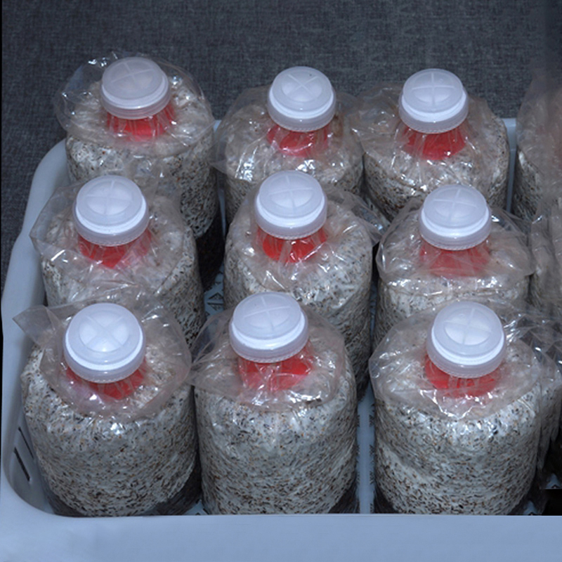 10Pcs Mushroom Grow Bag Sealer - Mushroom Spawn Bag review and price