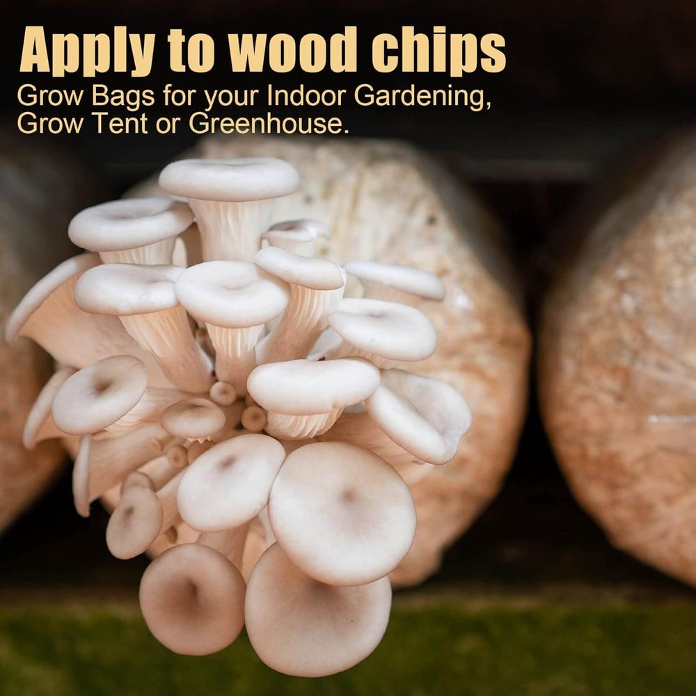 Mushroom Spawn Bags, 20Pcs Lar - Mushroom Spawn Bag review and price