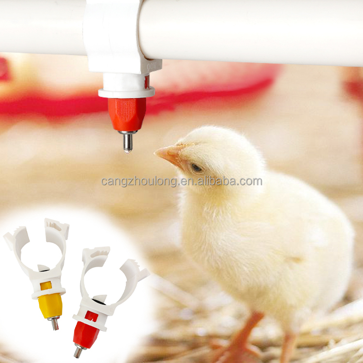 YYW LM44 Hot Sale Farm Use Pla - Chicken Nipple Drinker review and price
