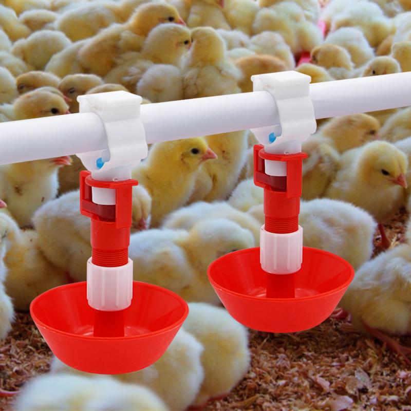5/10/20 Pcs Automatic Chicken  - Chicken Nipple Drinker review and price