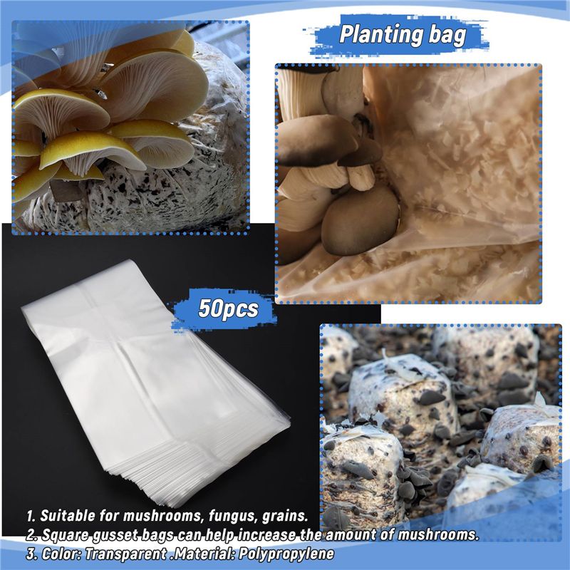 ABSJ-50Pcs 10X20 Inch PVC Mush - Mushroom Spawn Bag review and price