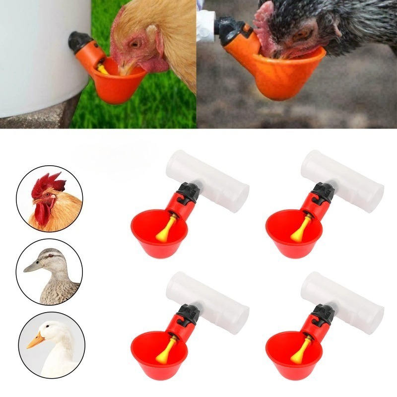 4Pcs Automatic Chicken Quail D - Chicken Nipple Drinker review and price