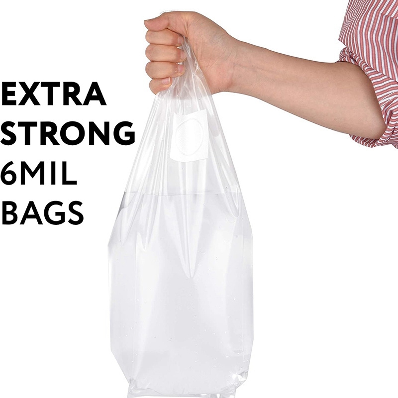 100Pcs Mushroom Growing Bag Sp - Mushroom Spawn Bag review and price
