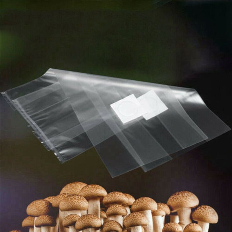 AT44-100Pcs PVC Mushroom Spawn - Mushroom Spawn Bag review and price