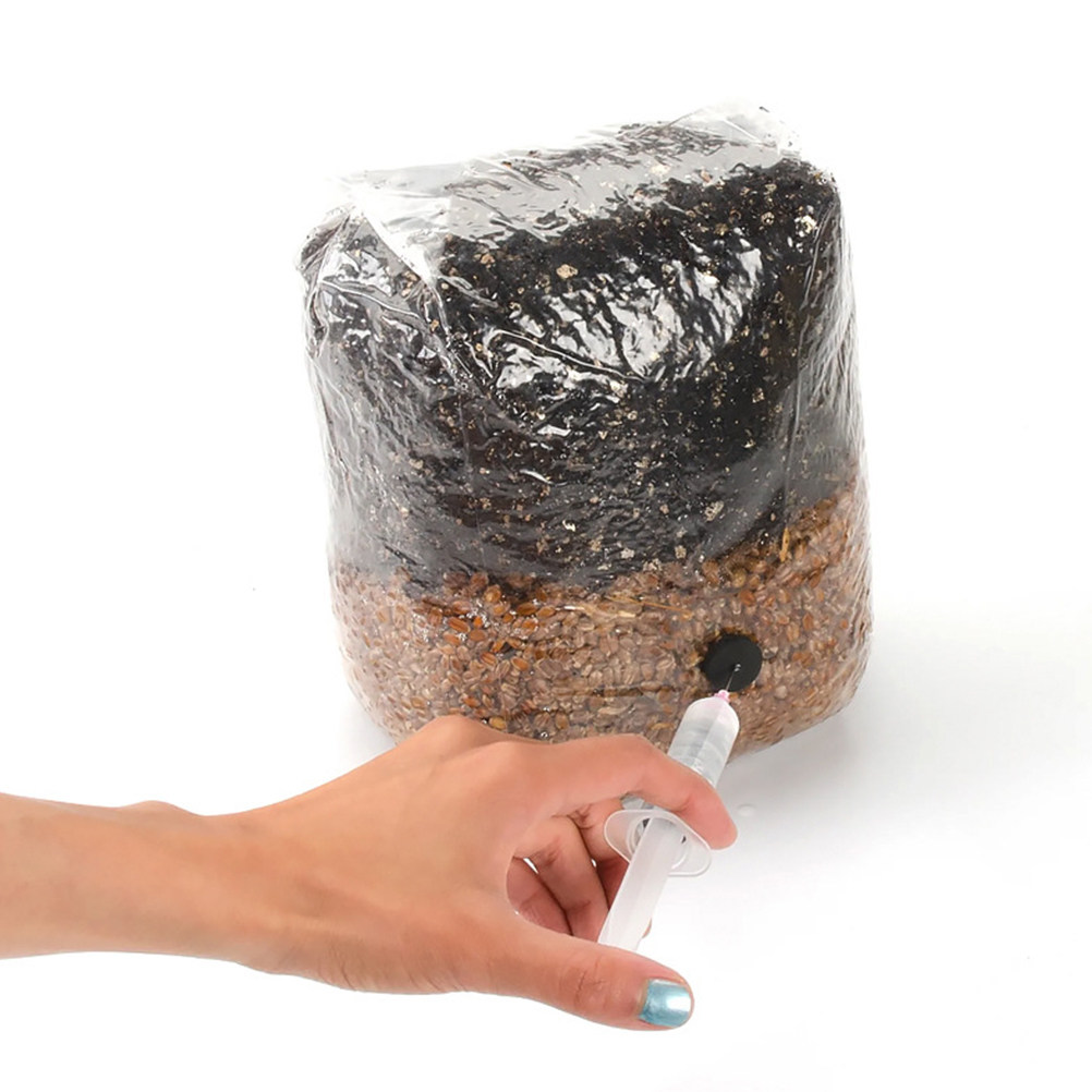 20Pcs Mushroom Growing Bags Cl - Mushroom Spawn Bag review and price