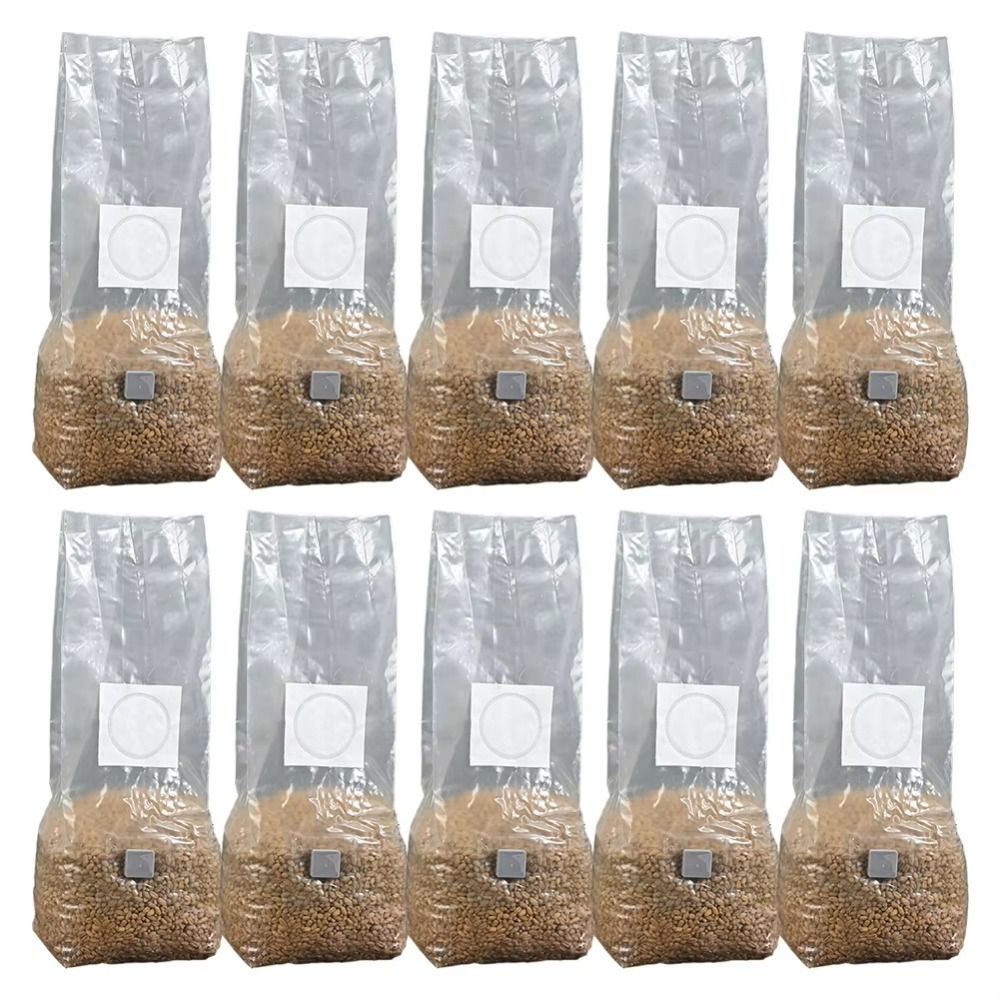 50pcs PP Mushroom Planting Bag - Mushroom Spawn Bag review and price