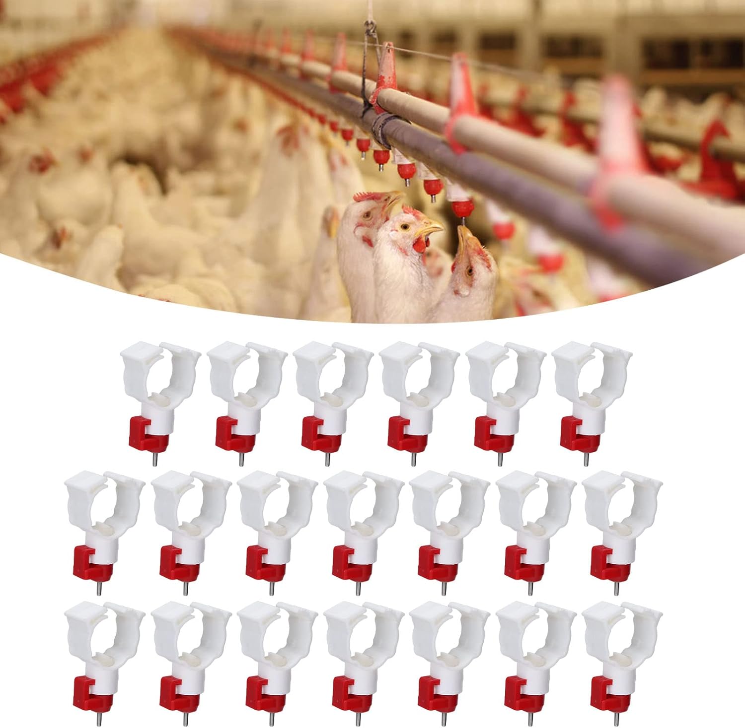 High Quality 20PCS Chicken Nip - Chicken Nipple Drinker review and price