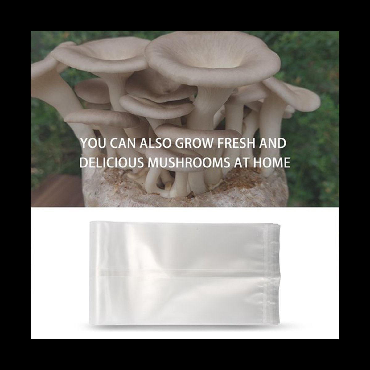 A78I 50 Count Mushroom Bags/Mu - Mushroom Spawn Bag review and price