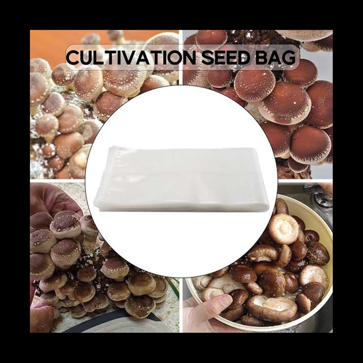 A78I 50 Count Mushroom Bags/Mu - Mushroom Spawn Bag review and price